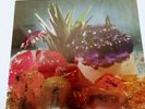 BITCH FALCON - Staring At Clocks - Vinyl (LP)