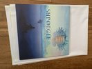 SHPONGLE TALES OF THE INEXPRESSIBLE VINYL RECORD
