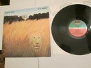 White Lion ?– Big Game LP 1989 Atlantic USA NM VINYL BEAUTY