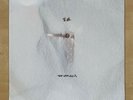 DJ KRUSH - ?? KAKUSEI (Sony Japan) Original 1998 Japanese pressing, NM [MoWax]