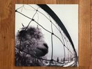 Vs. [LP] by Pearl Jam - Original Pressing (Vinyl, Oct-1993, Epic Associated)