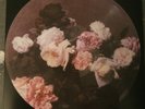 New Order Power Corruption & Lies Picture Disc Vinyl LP Album - rare really nice