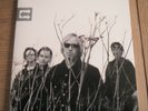 TOM PETTY  - ECHO (2 LPS US GATEFOLD REMASTERED FROM ANALOG MASTERS, 2017)