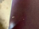The Fragile: Deviations 1 by Nine Inch Nails (Vinyl, Nov-2017, 4 Discs,...