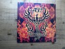 Ash Meltdown 2005 A2/B2 Press Excellent 180g Vinyl LP Record Album & Insert