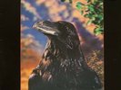 The Stranglers - The Raven (LP) (3D Sleeve) (G-/G++)