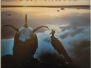 Roxy Music Avalon EX LP