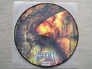 Picture LP Defecation Purity Dilution  Nuclear Blast