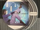 David Bowie Survive 7