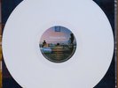 WHITE VINYL - PINK FLOYD - A MOMENTARY LAPSE OF REASON - 1987 FRANCE - EX