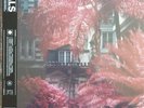 Foals - Everything Not Saved Will Be Lost - Vinyl Box Set