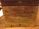 1972 Alice Cooper Schools Out Vinyl Album With Panties