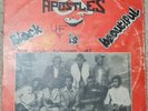 The Apostles 