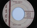 Rockabilly 45 BILLY LAND Shimmy Shake ESCO HEAR
