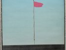 WIRE PINK FLAG  UK ORIGINAL FROM 1977   NM