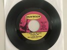 The Warner Brothers I WON'T BE THE SAME WITHOUT HER Rare Garage Psych Soul 45 7