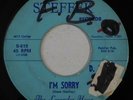 garage 45 RPM THE LAVENDER HOUR I'm Sorry Hang Loose STEFFEK VG HEAR mp3 record