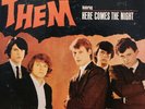 THEM - HERE COMES THE NIGHT - EXCELLENT  -  SUPERB