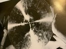 BAUHAUS Press Eject And Give Me The Tape BEGGAR'S BANQUET BEGA 38 LP VGC UK GOTH