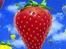 Lightning Seeds, The-Jollification Remastered VINYL NEUF