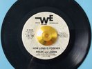 FRANK and JAMES * HOW LONG IS FOREVER *NM* MODERN XOVER NORTHERN SOUL ??