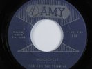 Teen Rockabilly Popcorn 45 TICO AND THE TRIUMPHS Motorcycle AMY paul simon HEAR