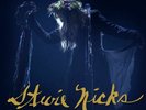 Stevie Nicks - Live In Concert The 24 Karat Gold Tour Vinyl Double 2 LP Album