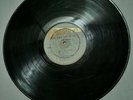 THE TERMITES - DO THE ROCK STEADY LP [ STUDIO ONE ]   [ NOV226 ]