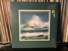 The Handsome Family SINGING BONES LP Carrot Top Limited Ed. Reissue, 2014 SEALED