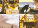 BEST COAST SOMETHING IN THE WAY [EP] NEW VINYL