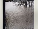 For Emma, Forever Ago by Bon Iver Vinyl