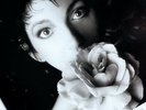 ORIGINAL DIRECT METAL MASTER KATE BUSH THE SENSUAL WORLD VINYL LP DMM 1989 OG NM