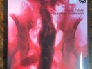 Phase Fatale - Scanning Backwards Ostgut Ton sealed vinyl record techno IDM
