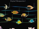Stevie Wonder : Original Musiquarium I Vinyl 12