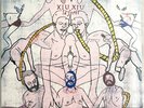 Xiu Xiu - La Forêt: Absolutely Kosher Records - AK077 Vinyl, LP, Album 2008