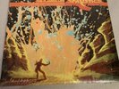 The Flaming Lips - At War with the Mystics 2xLP 180g  VINYL 1st Press In Shrink