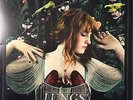 Florence & the Machine - Lungs LP RED VINYL NEW SEALED