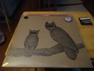 NEIL HALSTEAD - Palindrome Hunches - Lp out of print  2012 - Slowdive  Mojave 3