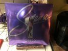Selena ONES Best Of 20 Essential Songs GATEFOLD New Vinyl Picture Disc 2 LP