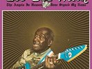 Leo Bud Welch - The Angels In Heaven Done Sign (Vinyl LP - 2019 - EU - Original)
