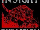 INSIGHT-REFLECTION VINYL LP NUOVO