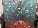 Sorceress [2 LP] by Opeth (Vinyl, Sep-2016, Nuclear Blast) Colored/Pink
