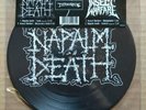 Napalm Death / Insect Warfare Split picture disc record store day grindcore