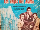 “Tejano Tex-Mex