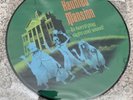 Disney Parks Haunted Mansion Attraction Soundtrack Picture Disc LP Vinyl Record