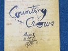 RARE Counting Crows August And Everything After LP - 1st press BRAZIL Release