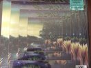 Fleetwood Mac - The Alternate Tango In The Night - RSD  LP Vinyl 8500 Ltd Run