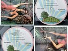 ROXY MUSIC Stranded LP Island (Pink Rim) A1/B1 EX/EX 1973 Gatefold
