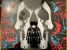Deftones - Deftones vinyl LP