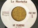 CAÑA BRAVA - Para Vigo Me Voy / MONSTER DESCARGA NICARAGUA 45